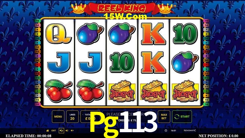 Slot Games Pg113